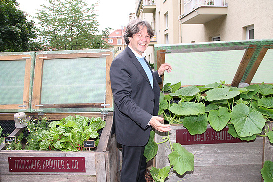 Münchens Kräuter & Co: hier wachsen die Gurken (©Foto: Marikka-Laila Maisel)
